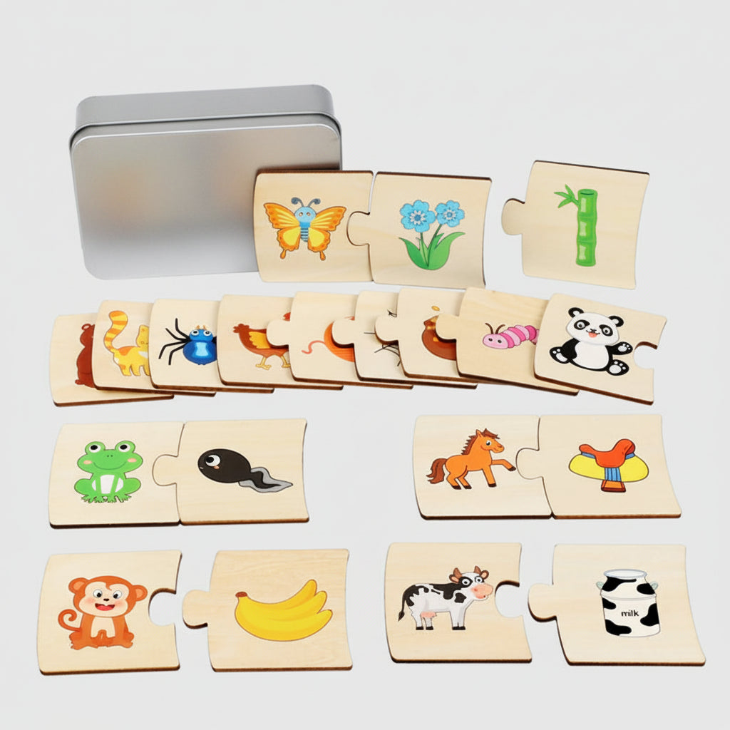 Jeu de Paires Magnétique en Bois