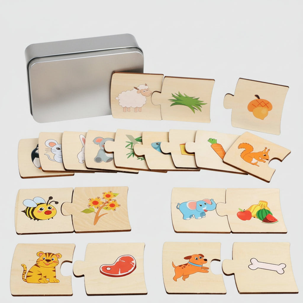 Jeu de Paires Magnétique en Bois