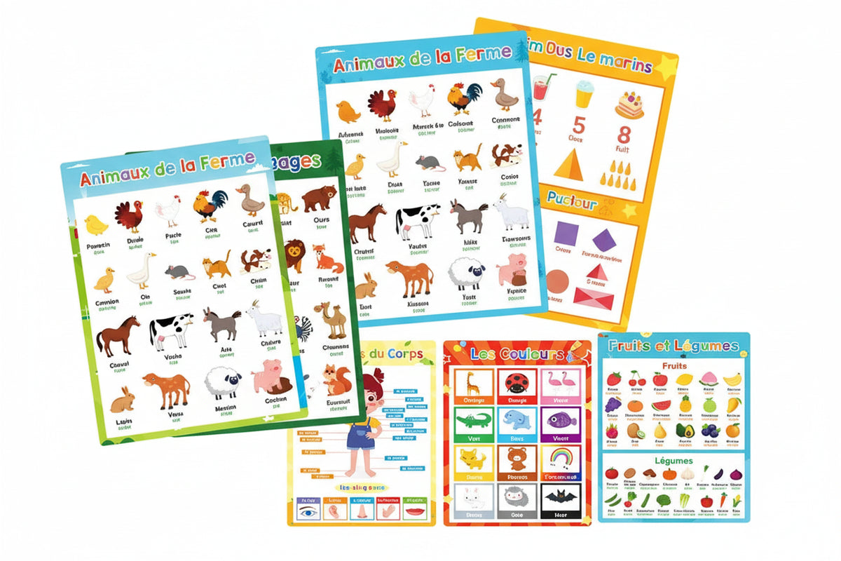 Posters Bilingues Français-Anglais