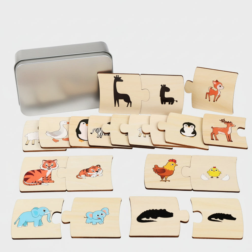 Jeu de Paires Magnétique en Bois